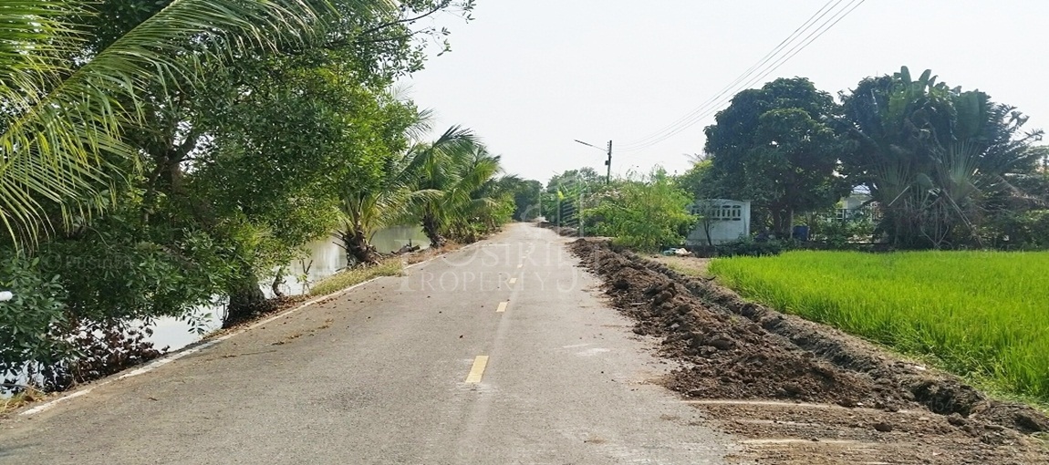 ที่ 14 ไร่เศษ ราคาโปรโมชั่น ติดถนนเลียบคลอง 4 ฝั่งตะวันออก ใกล้โรงเรียนวัดมงคลพุการาม  ขายที่ปทุมธานี